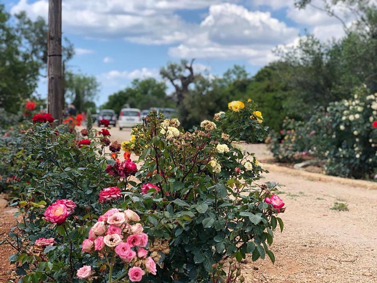 Tenuta La Milogna Gallipoli Exteriér fotografie